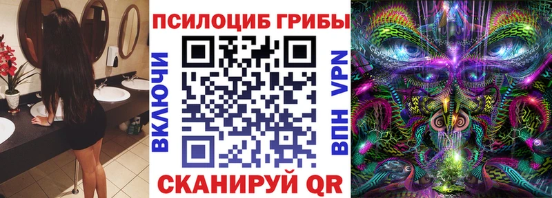 Псилоцибиновые грибы Psilocybe  Бронницы 